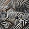 Buatan Tangan Abstrak Seni Lukisan Kanvas Hewan Zebra Cetak Kanvas Dinding Seni