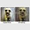 Potret Lukisan Minyak Kustom Asli, Potret Hewan Peliharaan Anjing Dari Foto 16 &quot;X 16&quot;